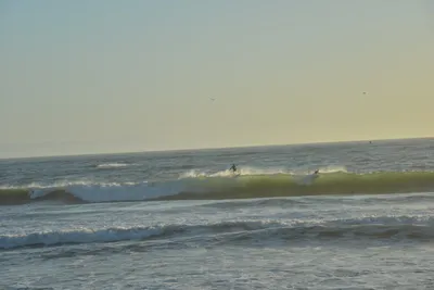 DSC_7274 (Large).JPG